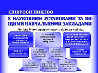 Вітчизняне співробітництво