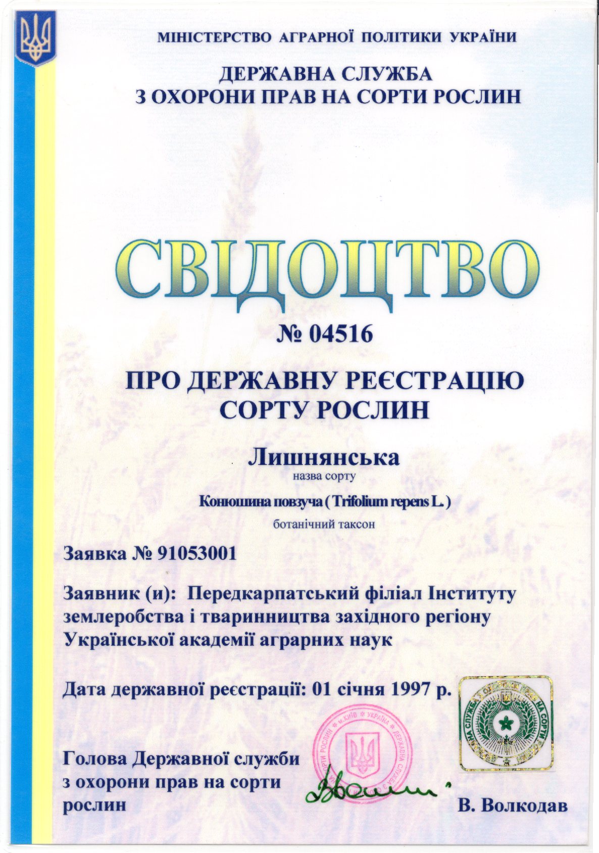 Наукові основи підвищення ефективності елементів технології СОРТ ЛІШНЯНСЬКА