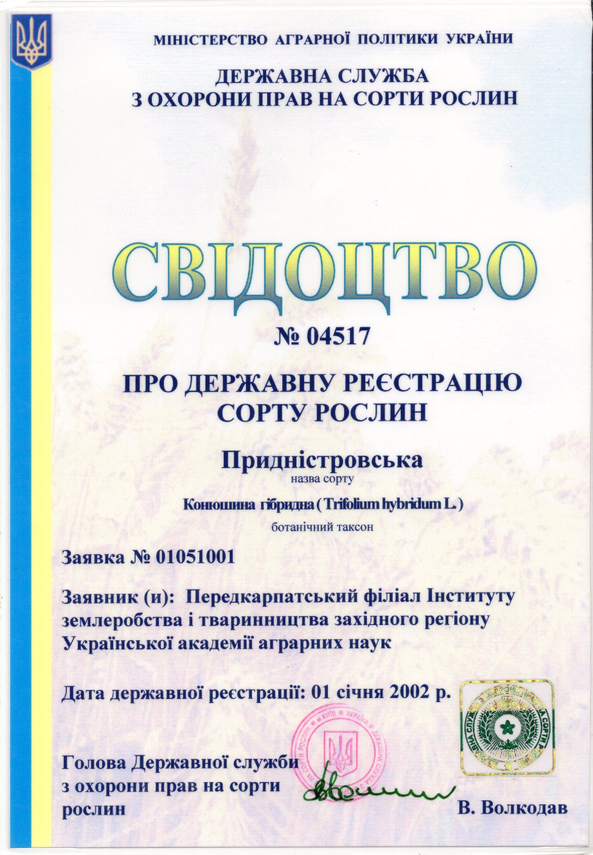 Конюшина гібоидна СОРТ ПРИДНІСТРОВСЬКА