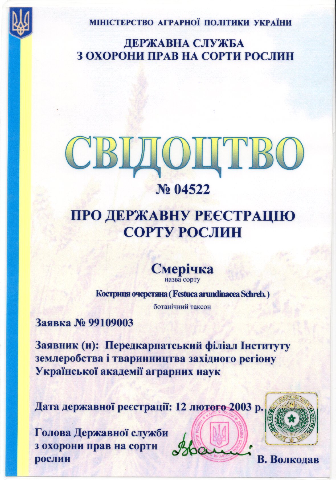 Костриця очеретяна СОРТ СМЕРІЧКА