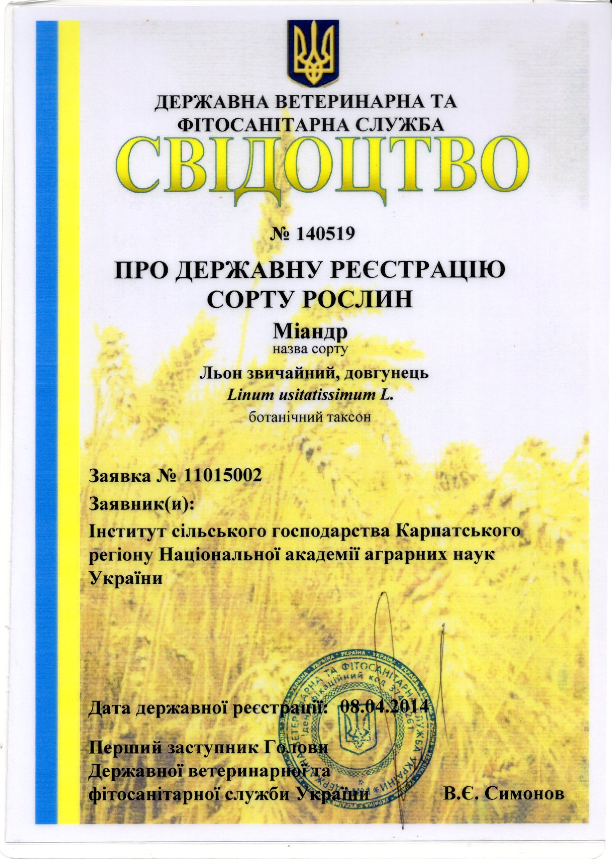 Льон звичайний, довгунець Сорт Міандр