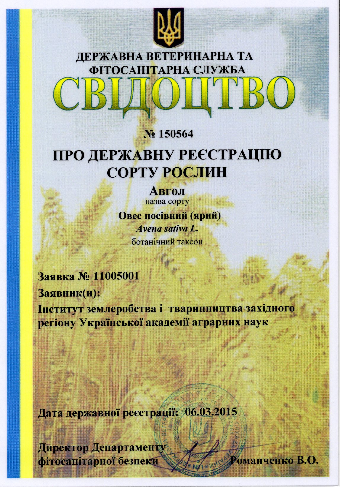 Овес посівний (ярий) СОРТ АВГОЛ