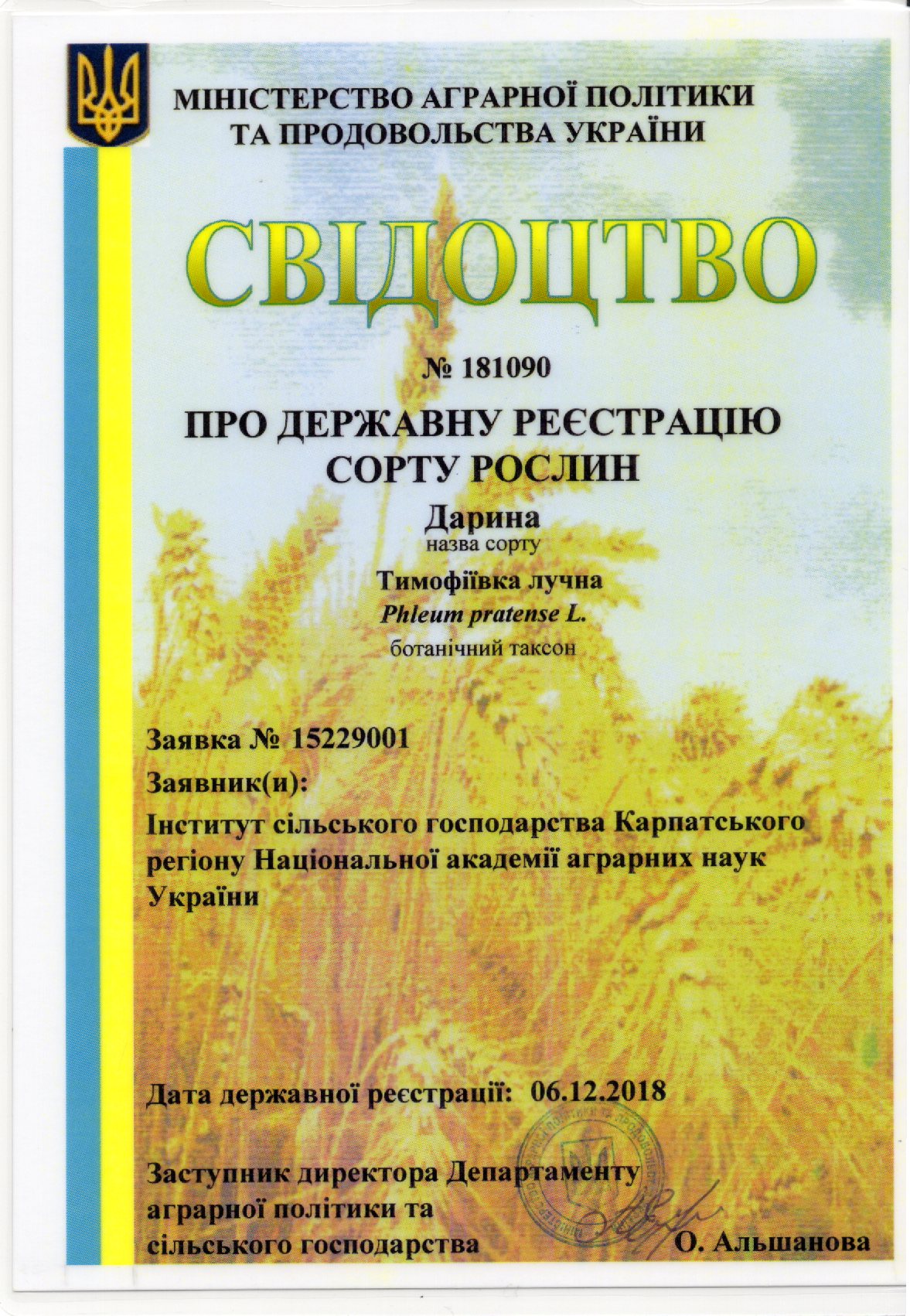 Тимофіївка лучна СОРТ ДАРИНА