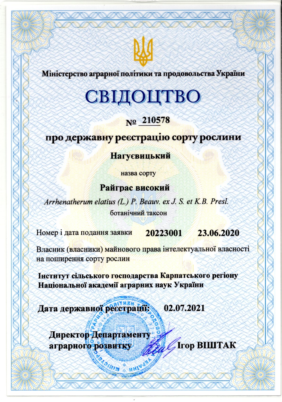 Райграс високий Сорт НАГУЄВИЦЬКИЙ