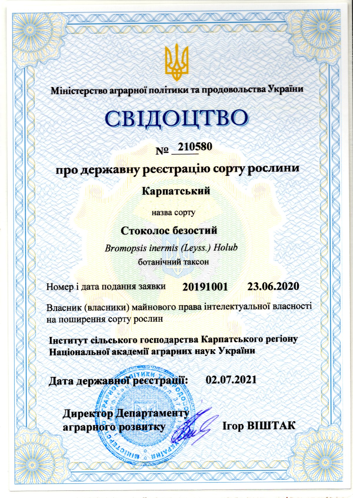Стоколос безостий Сорт КАРПАТСЬКИЙ