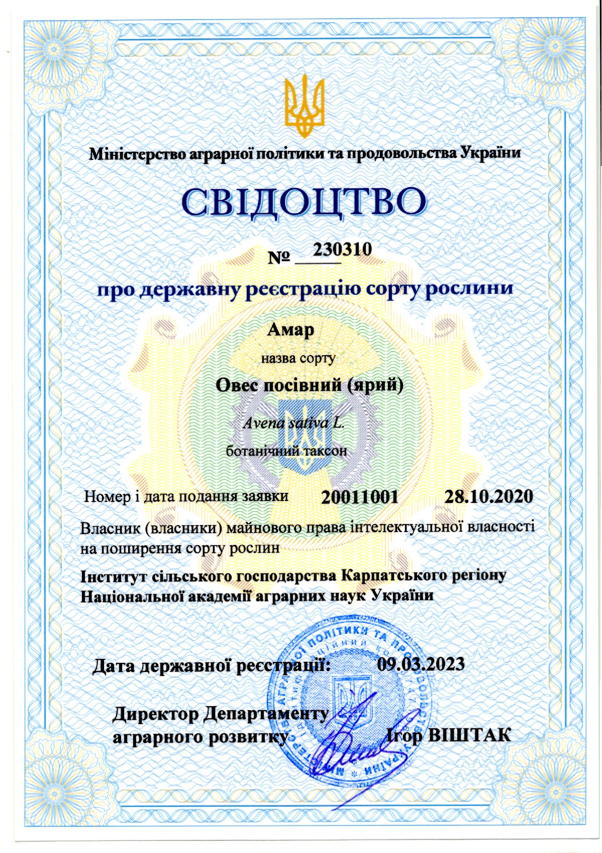 Овес посівний (ярий) СОРТ ВІВСА АМАР