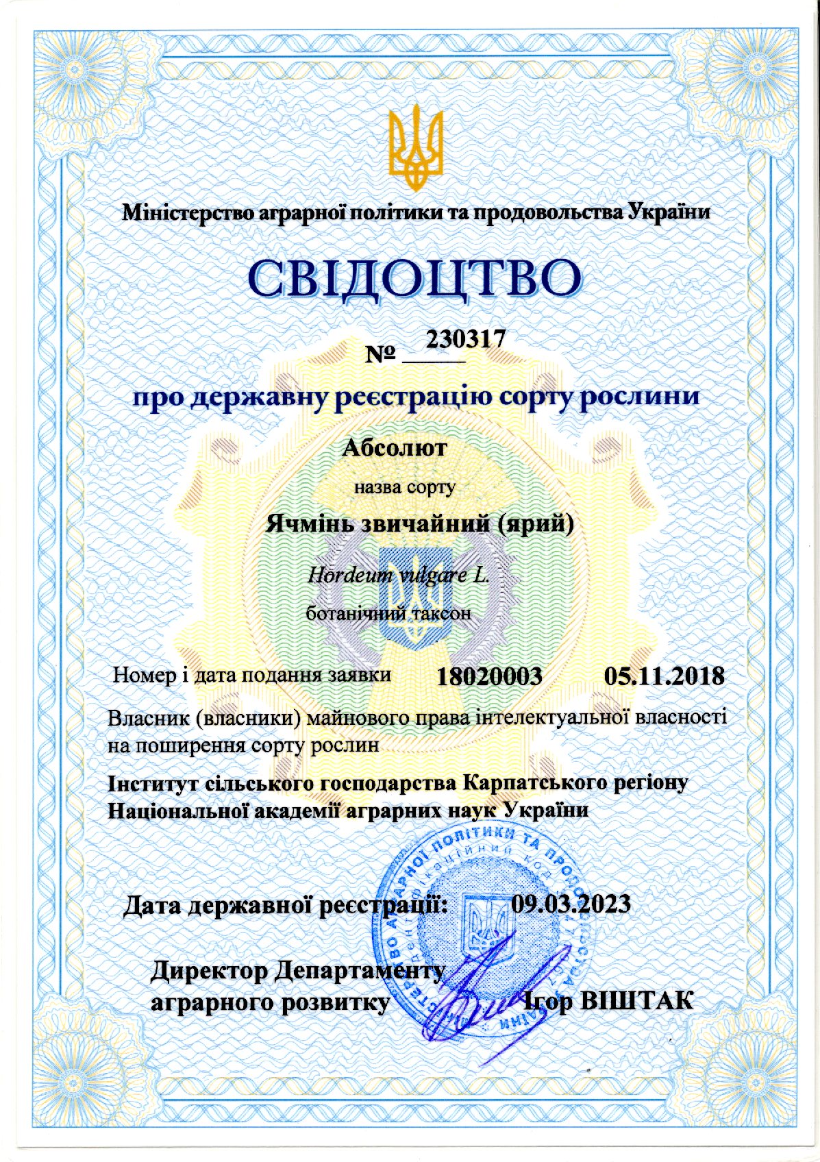 Ячмінь звичайний((ярий) Сорт Абсолют