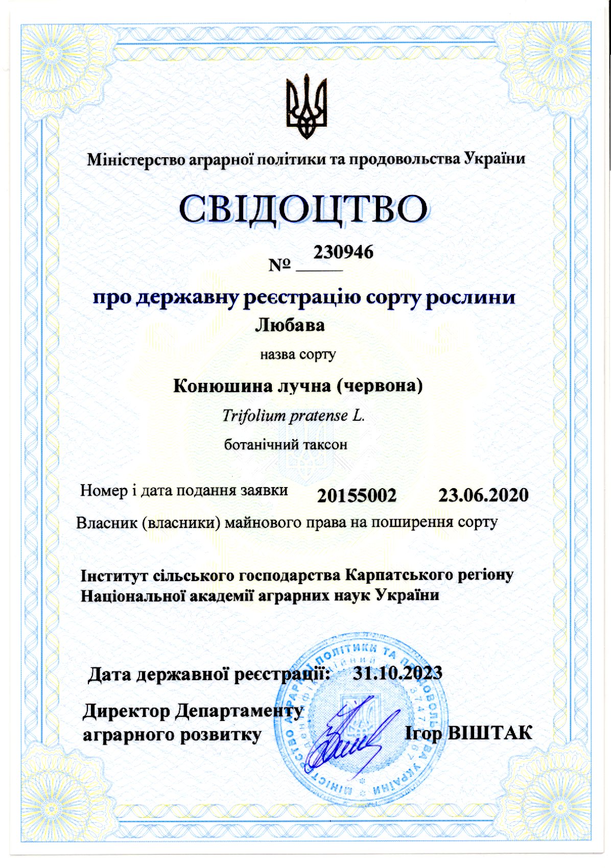 Конюштна лучна червона Сорт ЛЮБАВА