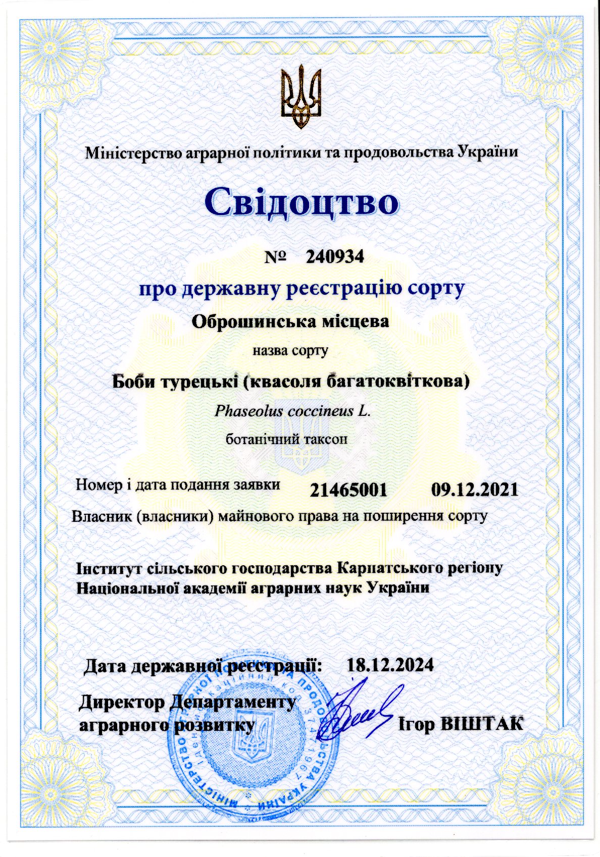 Боби туруцькі (квасоля багатоквіткова)