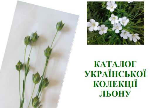 tytul2022-556x473-1