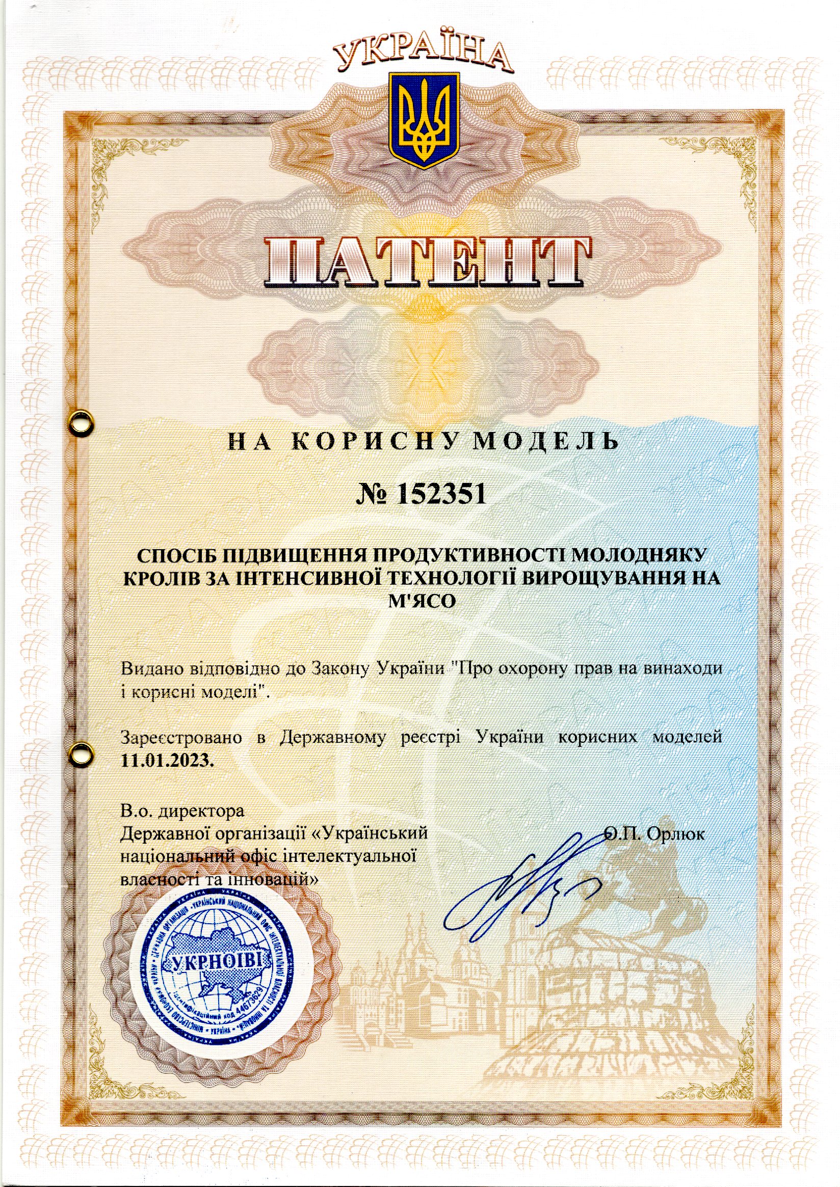 СПОСІБ ПІДВИЩЕННЯ ПРОДУКТИВНОСТІ МОЛОДНЯКУ КРОЛІВ ЗА ІНТЕНСИВНОЇ ТЕХНОЛОГІЇ ВИРОЩУВАННЯ НА М'ЯСО