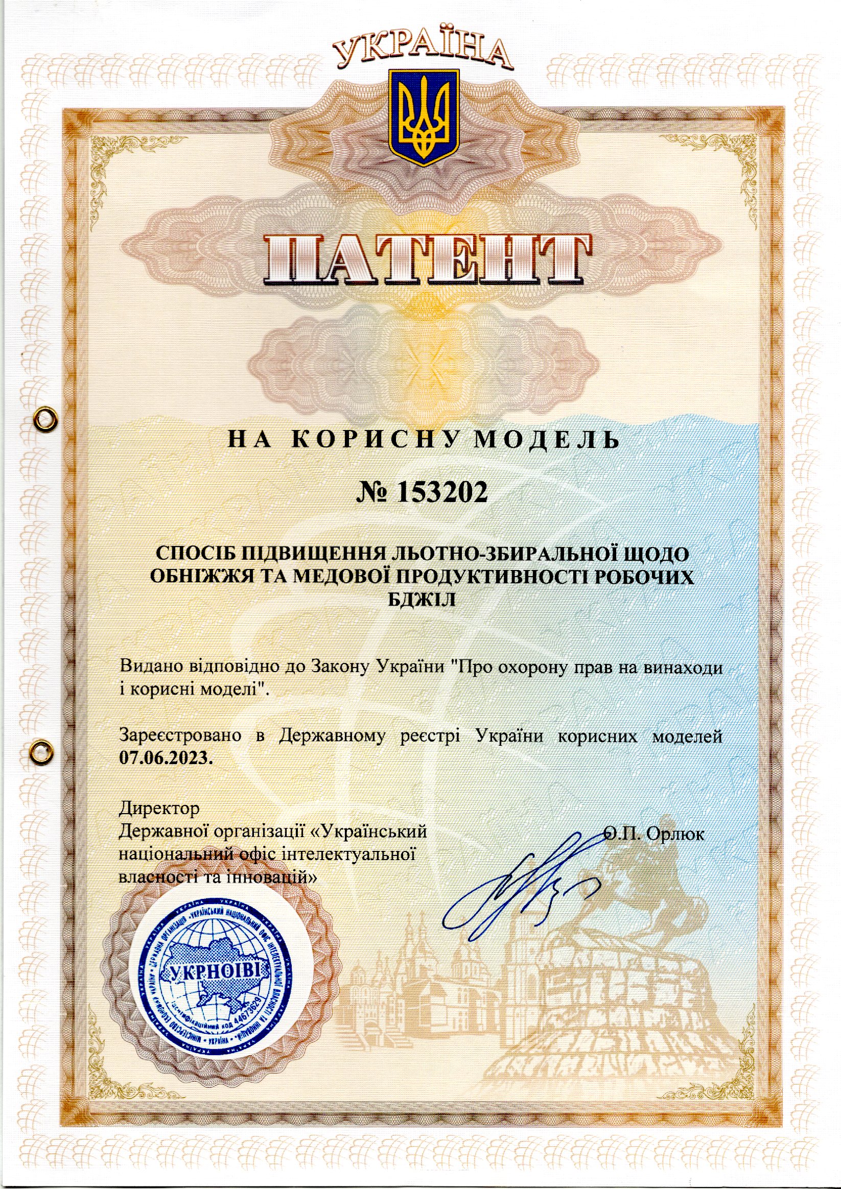 СПОСІБ ПІДВИЩЕННЯ ЛЬОТНО-ЗБИРАЛЬНОЇ ЩОДО ОБНІЖЖЯ ТА МЕДОВОЇ ПРОДУКТИВНОСТІ РОБОЧИХ БДЖІЛ