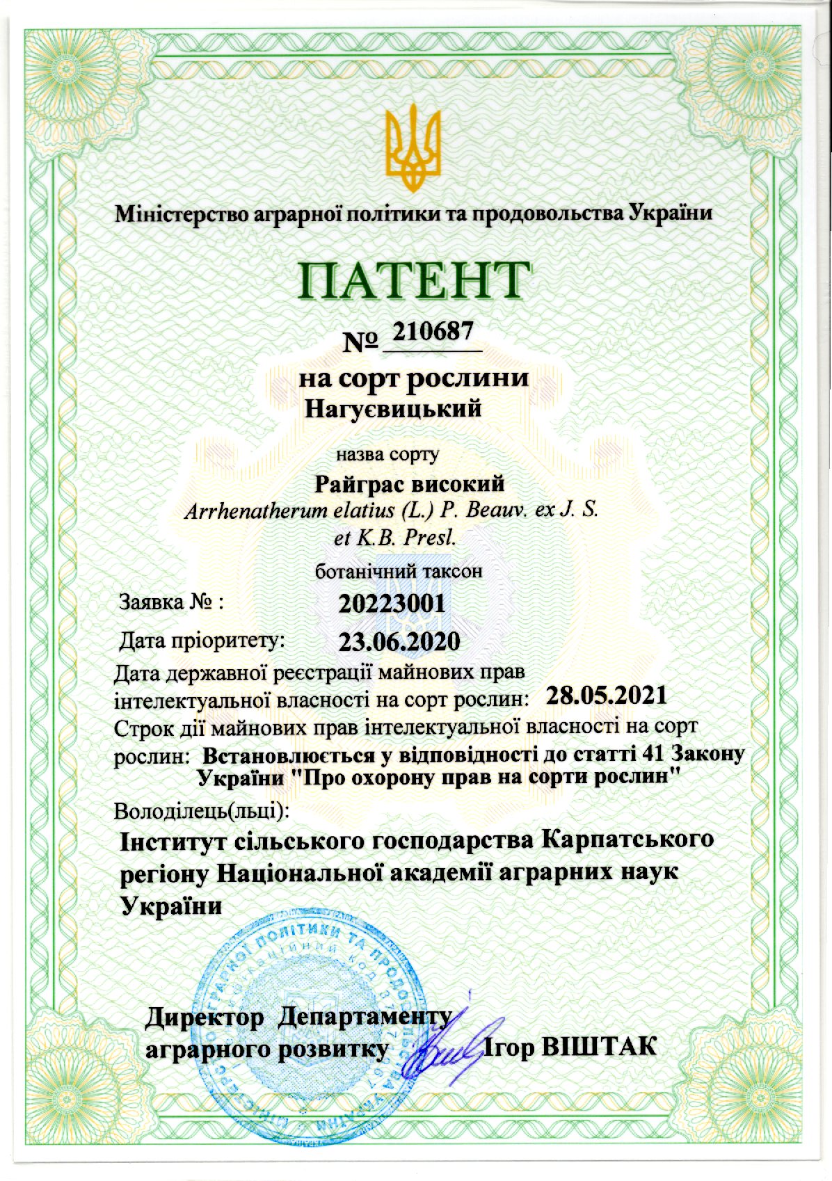 Райграс високий НАГУЄВИЦЬКИЙ