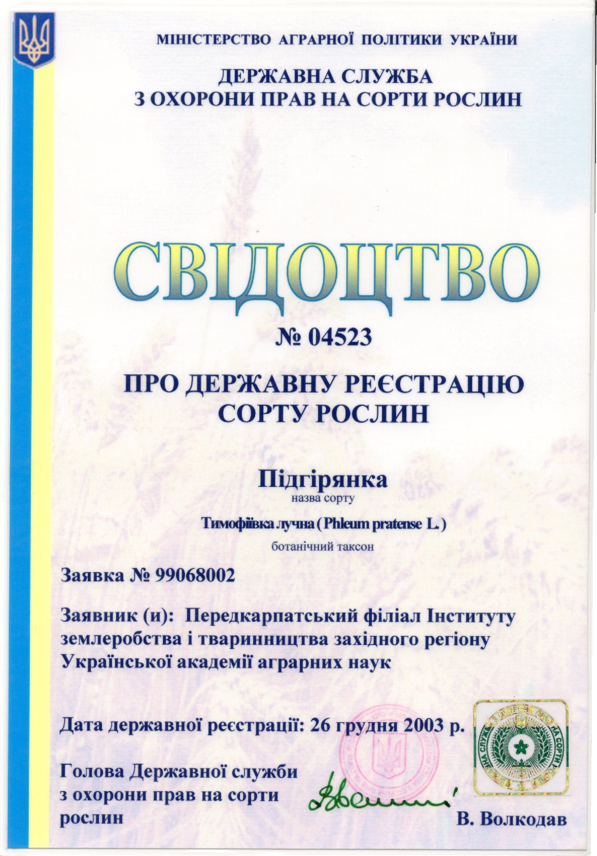 Тимофіївка лучна СОРТ ПІДГІРЯНКА