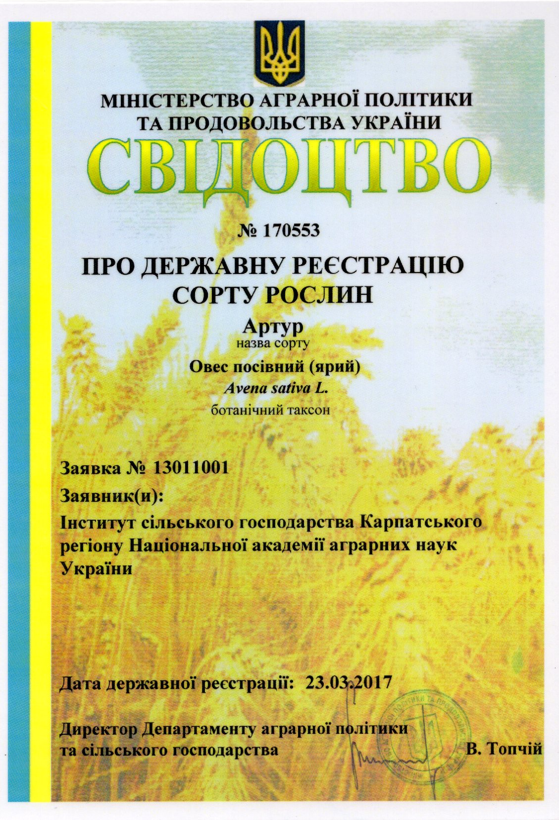 Овес посівний (ярий) СОРТ АРТУР