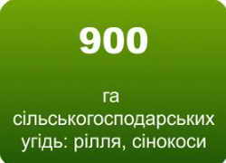 900<br /> <br /> 